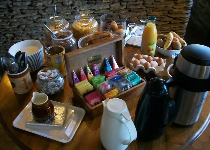 Ξενοδοχείο De Castel-merle Sergeac