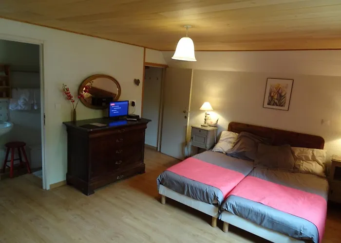 De Castel-merle 2* Sergeac